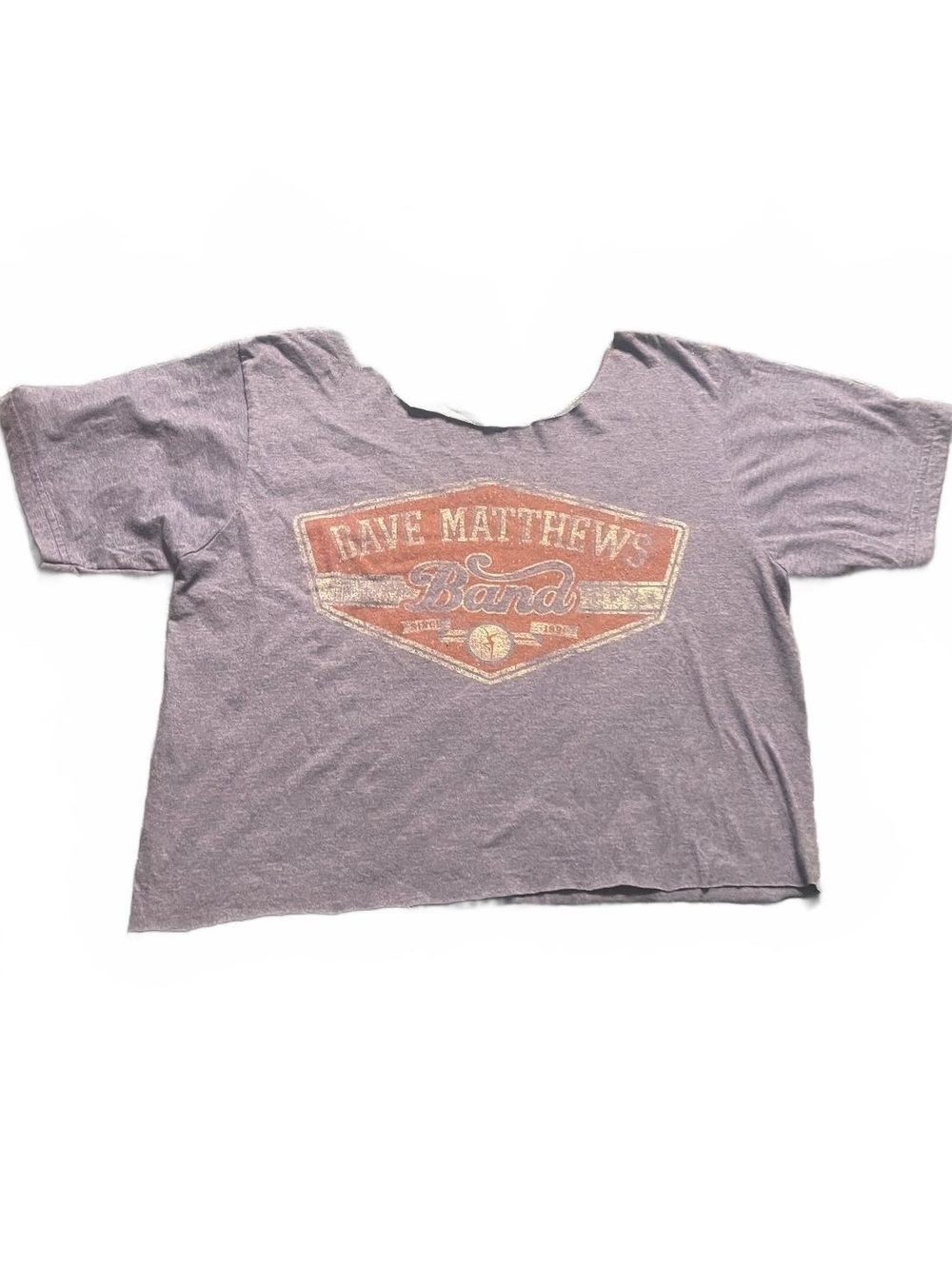 Dave Matthews Band Graphic T Shirt Large Blue Distressed Cropped Raw Hem Tagless